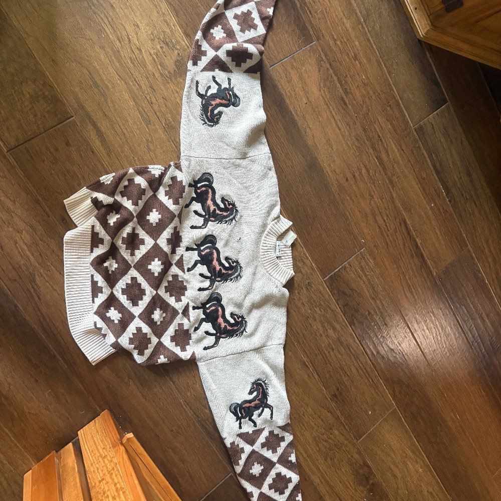 Autumn adeigbo Vintage horse Aztec sweater